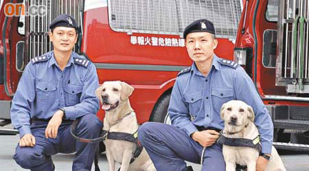 消防犬需要入住領犬員家中。	（資料圖片）