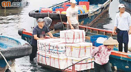 每日不少內地漁船到流浮山出售海鮮。