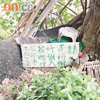 非法開墾花槽旁放有告示，提醒清潔工人不要搞破壞。