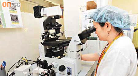 仁安醫院生殖醫學中心手術室，胚胎專家正進行試管嬰兒手術。	（袁志豪攝）