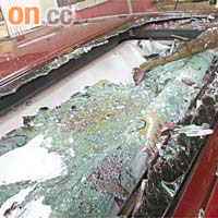 枯枝折斷墮下砸毀車頂玻璃。