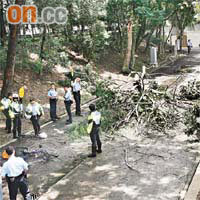 2010年 沙田圓洲角公園<BR>本月一名單車漢途經沙田圓洲角公園單車徑時，遭突然倒塌的大樹壓死。