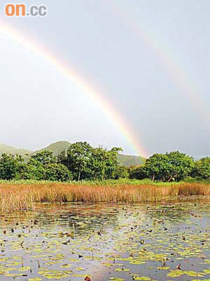 米埔自然保護區上空前日下午乍現雙彩虹的天文奇景。	（施百納提供圖片）