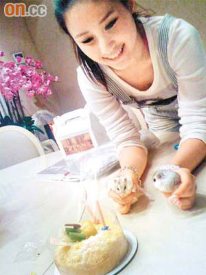 何超蓮買COVA蛋糕為兩隻倉鼠吹燭蠟慶祝生日。	（資料圖片）