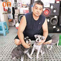 音響店東主陳先生與其中三隻愛犬的合照。	（文健雄攝）