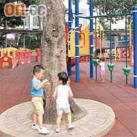 西貢街遊樂場的龍眼樹位於遊樂場設施範圍，平日有不少小孩在樹下玩耍。