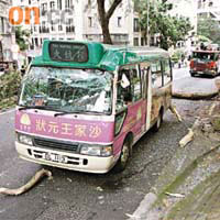 塌樹擊中小巴車頂後橫亘路中，司機僅輕傷。	（馬竟峯攝）