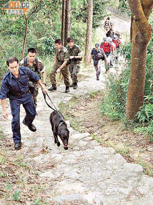 警員帶同搜索犬登山搜索。	（陳錦昌攝）