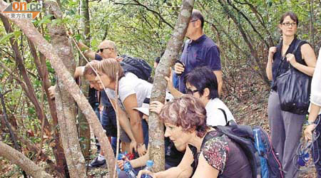 失蹤機師的親友登山搜索。	（陳錦昌攝）