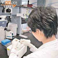 中大華南腫瘤學國家重點研究室的研究人員，多年來致力破解抑癌基因之謎。