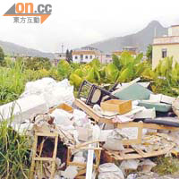 各政府部門互相推卸，以致水盞田村的垃圾堆積問題長期未清理。