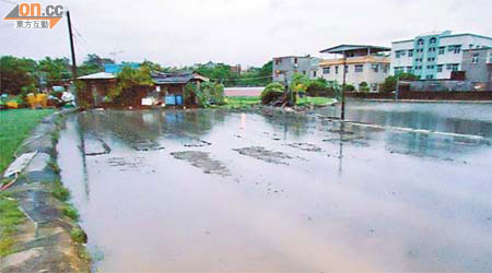 元朗<br>元朗山下村大幅菜田被水淹，菜農損失慘重。	（讀者提供圖片）