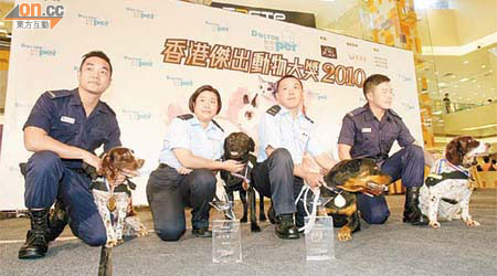 退休警犬樂樂（右二）與多隻紀律部隊犬隻同獲獎。	（陸智豪攝）
