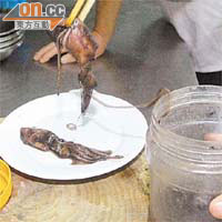 郭師傅預早喺一個月前，用鹽生醃連內臟嘅原隻鹹土魷。