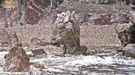 黃竹角咀的「鬼手」巖石是新界東北地質公園的地標之一。