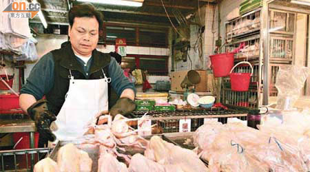 仁愛街市活雞檔的梁先生昨晚將活雞殺掉後冰鮮處理。	（朱先儒攝）