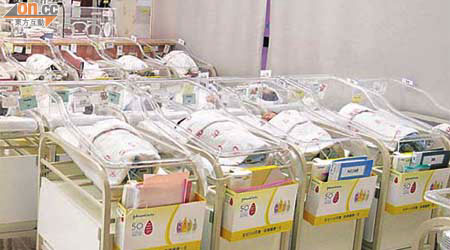 私家醫院出生嬰兒數目屢創新高，當中仁安醫院每年約有六千名嬰兒出生，年尾更是產子高峰期。	（梁耀榮攝）