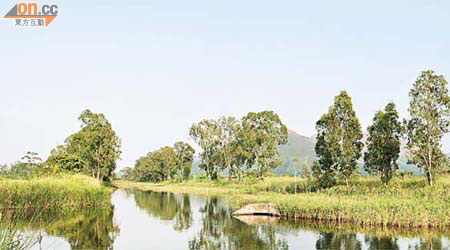 梁士倫指恒基的發展計劃不符合濕地保育區的發展原則。	（世界自然基金會香港分會提供圖片）