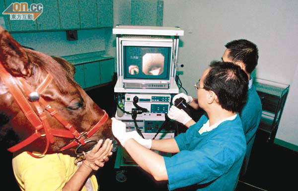 香港在○八年協辦奧運馬術項目，香港賽馬會亦負責馬匹檢疫工作。
