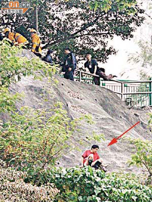 「波牛」被困山坡（箭嘴示），進退兩難。	（梁卓明攝）