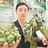 于洋期望明年夏季將巨型芥蘭、「寶塔菜花」引入本港。