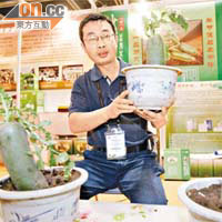 李耀勇預計下月可將沙窩蘿蔔推出本港市場。
