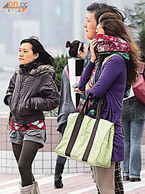 本港近日天氣乍暖還寒，市民外出時披上頸巾擋風保暖。	（高嘉業攝）
