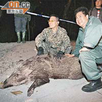 港島南區近期野豬為患，上月底狩獵隊曾射殺八隻野豬。	（資料圖片）