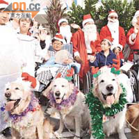 義工團體與「狗醫生」齊齊到醫院與病童過聖誕。