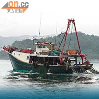 政府擬立法禁止本港水域拖網捕魚，預計拖網船不久將來全部消失。