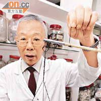 註冊中醫李甯漢指斑蝥劇毒，他從未處方，可用其他藥材代替。