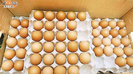 家禽蛋品易受沙門氏菌感染。