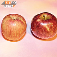 街市果販聲稱的日本青森蘋果（左），其實是內地的富士蘋果，圖右為日本富士蘋果。
