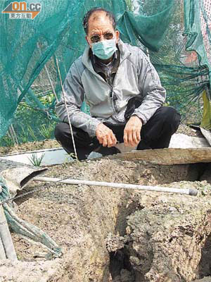 農田地下多處被挖空，令農田下塌及龜裂，馬先生欲哭無淚。