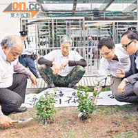 社民連成員前日在中聯辦外栽種茉莉花。	（資料圖片）