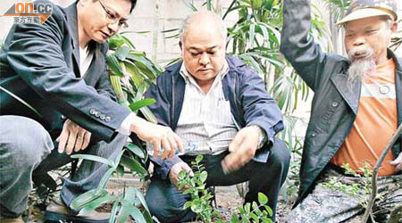 示威者終成功在警署外栽種茉莉花。	（羅錦鴻攝）
