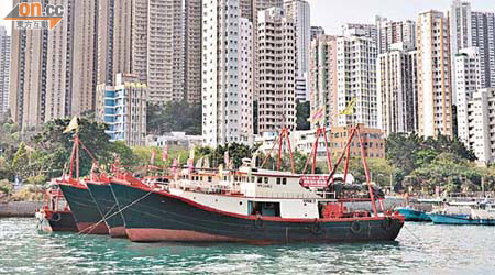 立法禁止全港海域拖網捕魚估計影響有四百艘拖網船。	（何耀其攝）
