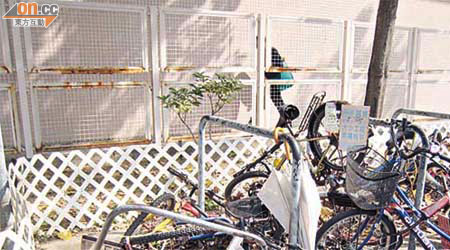 單車泊位堆滿棄置單車，令真正用家「有位泊不得」。