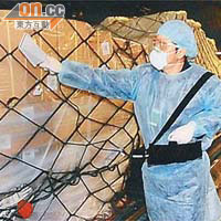 海關會檢驗進港日本消費品的輻射含量。