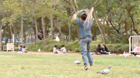 跳繩男童用繩作勢鞭打鴿子。	(互聯網圖片)