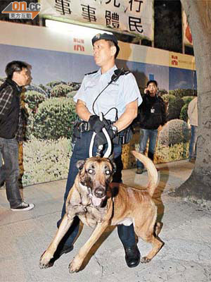 警犬在場威武鎮壓。