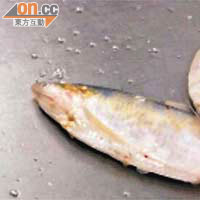 有網民在網上貼出一張聲稱刀魚被灌水銀的照片。	（互聯網）