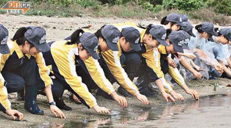 逾百名中學生昨到下白泥將馬蹄蟹放歸野外，宣揚保育馬蹄蟹的訊息。 （林少權攝）