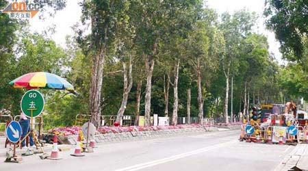 林錦公路工程以人手控制交通，被指為塞車元兇之一。
