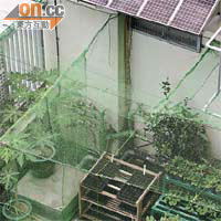 其中六塊太陽能光伏板設於種植園內，可供應電力推動雨水淨化系統、循環過濾系統及自動灑水系統。	（馮溢華攝）