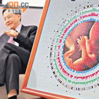 盧近期破解母體內的胎兒基因圖譜，為日後醫療技術揭開新一頁。　
