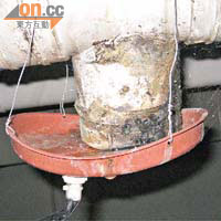 滲漏渠管及引導裝置有大量污漬，非常惡心。