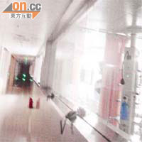 小孫帶領記者往醫院五樓的深切治療部，並稱內裏住了剛換腎的病人。