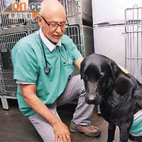Thorley（左）日前與另一名醫生同為Oscar（犬），進行本港首宗為動物植入心臟起搏器的手術。