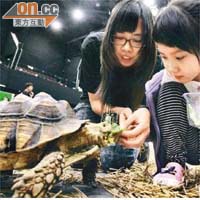 市民在展覽內可親手餵飼烏龜。（蘇文傑攝）